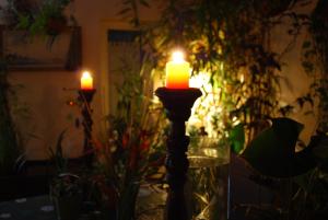 two candles sitting on a table in a room with plants at Casa Tesalia in Güimar