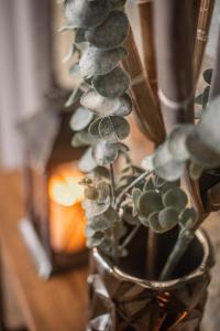 a vase filled with a bunch of plants at HOTEL MAREA in Poio +102 photos