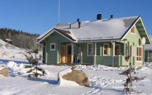 Cottage Nuppulanranta في يامسا: منزل أخضر في الثلج مع صخور