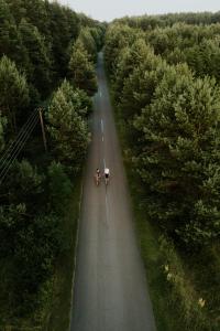 Príroda v okolí dovolenkového domu