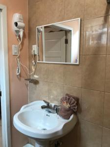 a bathroom with a sink and a mirror at Tropical Paradise in Caye Caulker