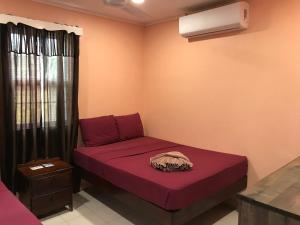 a small room with a purple bed and a window at Tropical Paradise in Caye Caulker