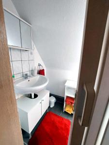 a bathroom with a white sink and a red rug at Ferienwohnung am Salzsee in Bad Windsheim