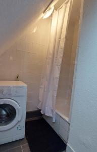 a bathroom with a washing machine and a washer at Ferienwohnung am Salzsee in Bad Windsheim +9 photos