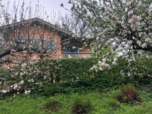 a tree with pink flowers in front of a house at Ferienhaus Eisenach in Eisenach