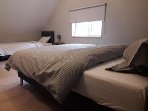 a bedroom with two beds and a window at Het Innerhof in Opglabbeek