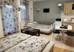 Kuchyňa alebo kuchynka v ubytovaní Hellasz Apartman