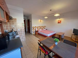 Televízia a/alebo spoločenská miestnosť v ubytovaní Hellasz Apartman