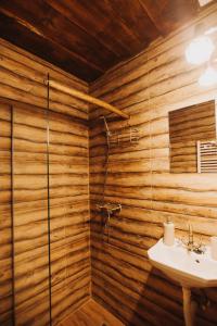 a bathroom with a shower and a sink at Hanna's Hidden Haven in Harghita-Băi +81 photos