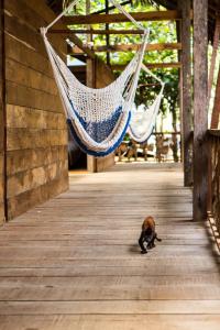 Fotografie z fotogalerie ubytování Casa Azul Reserva Amazonica v destinaci Leticia