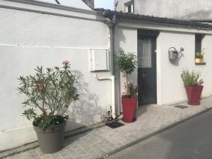 trois plantes en pot posées à l'extérieur d'une maison dans l'établissement La bi-coque du Courtgain, charmante et atypique, à Saint-Valery-sur-Somme