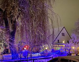 RIEDWIRTSHAUS v zimě