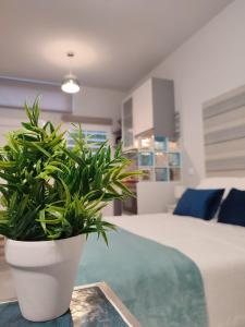 une plante en pot assise sur une table dans une chambre dans l'établissement Estudio Madrid Norte 2, à Madrid