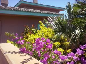 a garden in front of a house with purple flowers at Rocca Ruja Vip in Stintino