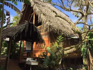 una casa con techo de paja y un árbol en Iguanitas Lodge, en Pital