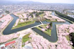 Luftaufnahme eines Parks mit rosa Kirschbäumen in der Unterkunft HOTEL MYSTAYS Hakodate Goryokaku in Hakodate + 79 Fotos