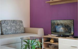 Un televizor și/sau centru de divertisment la Nice Apartment In Podstrana With Wifi
