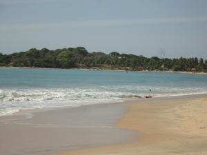 una playa con el océano y árboles en el fondo en SURF & SAND Hotel Arugambay, en Arugam Bay