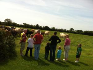 Ospiti di Kilmore Cottages Self - Catering