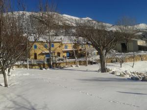 a snow covered yard with trees and a mountain at Ferme de Sejour Rebuffel in La Roque-Esclapon