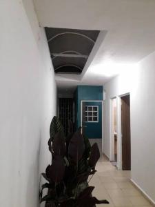 a hallway with a plant in a room at Nice house Casa de Descanso en San Andrés Tuxtla. in San Andrés Tuxtla