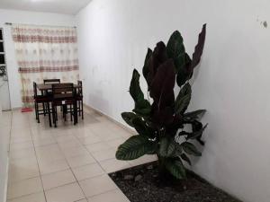 サン・アンドレス・トゥストラにあるNice house Casa de Descanso en San Andrés Tuxtla.の食堂付きの部屋の隅に植物