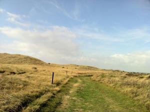 Paesaggio naturale nelle vicinanze della casa vacanze