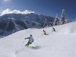Chalet in Mayrhofen near Ski Lifts v zime