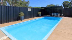 a large blue swimming pool with a black fence at Bishops Lodge Narrandera in Narrandera