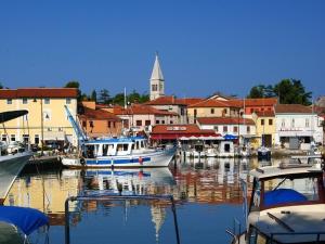 a group of boats docked in a harbor with buildings at Apartment Novigrad in Novigrad Istria