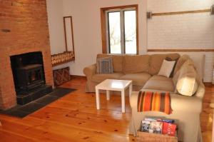ein Wohnzimmer mit einem Sofa und einem Kamin in der Unterkunft Le Tierra del Fuego by HomeInMontreal in Montreal