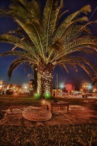 Сад в Marathon Beach Resort