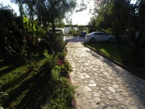 Zahrada ubytování Star Hotel