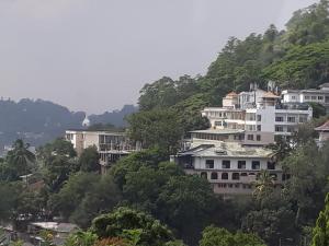 a group of buildings on a hill with trees at Wood cabin in Kandy