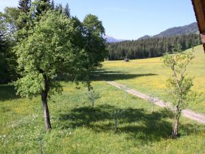a field with two trees and a dirt road at Farmhouse in Hopfgarten in Brixental with garden in Hopfgarten im Brixental