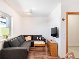 salon z kanapą i telewizorem w obiekcie Apartment in Saalfelden near Ski Slopes w mieście Saalfelden am Steinernen Meer