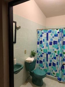 a bathroom with a green toilet and a shower curtain at Quinta Campestre Los Encinos in Santiago