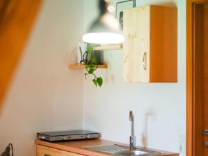 Fotografie z fotogalerie ubytování Loft-like apartment with swimming pond v destinaci Scheibbs