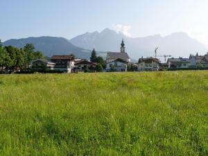伊特爾的住宿－Apartment in Tyrol 100 m to the mountain railway，一片绿草丛生的草丛,有房子和山