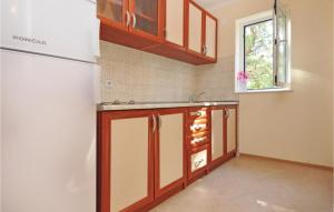 a kitchen with a refrigerator and a sink at Cozy Apartment In Mimice With Kitchen in Mimice