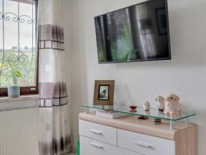 Telewizja i/lub zestaw kina domowego w obiekcie Apartment in Oed-Öhling near Danube River