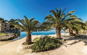 a row of palm trees on a sandy beach at Awesome Home In Drvenik Veliki With Wifi in Drvenik Veli