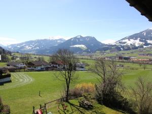 ハート・イム・ツィラータールにあるCozy Apartment in Hart im Zillertal near Ski Areaの山々を背景に広がる緑地の眺め