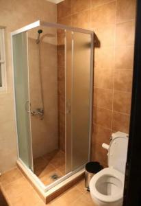 La salle de bains est pourvue d'une cabine de douche et de toilettes. dans l'établissement Spilios Apartment, à Nauplie
