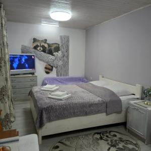 a bedroom with a bed and a tv in it at Три горішки in Yaremche