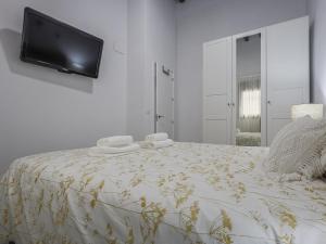 1 dormitorio con 1 cama y TV en la pared en Cádiz teniente andújar, en Cádiz