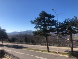 una carretera con dos árboles y un semáforo en B&B Curva della Palma, en San Marino
