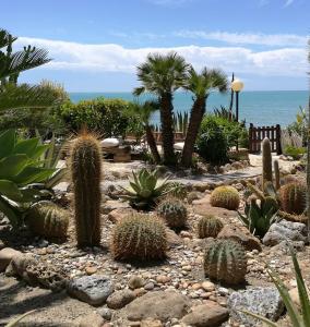 een tuin met cactussen en palmbomen en de oceaan bij Giardino sul Mare in Realmonte