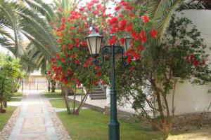 Ein Garten an der Unterkunft Hotel Pilalidis