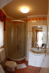 a bathroom with a shower and a toilet and a sink at Rooms Beros in Maribor